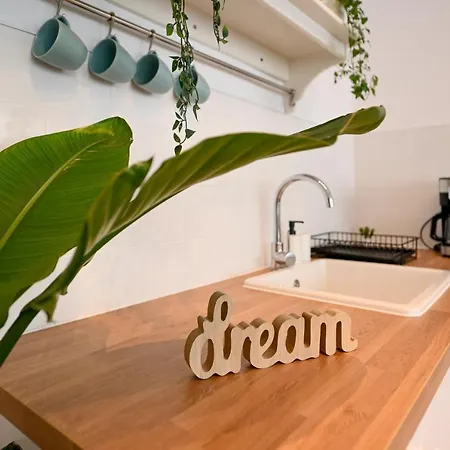 Lägenhet Modern Calea Victoriei 1br Apt: Explore